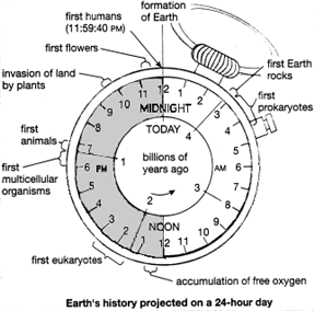 Se la storia del pianeta terra venisse condensata in 12 ore l'uomo sapiens sarebbe nato 2 secondi fa